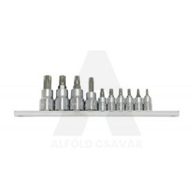 Torx Bit-dugókulcsfej klt. 1/4+3/8 T10-T55 10db-os