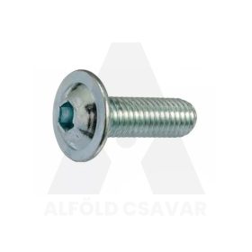 M10x30 D-Fejű peremes BKNY TM. 10.9