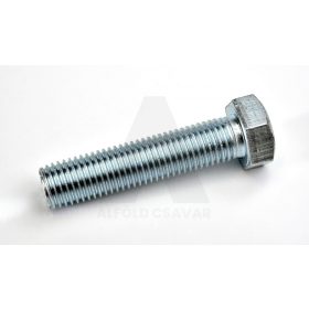 M12x65 HLF TM. csavar 8.8