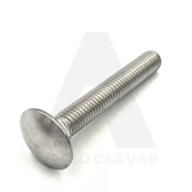 Kapupánt csavar M10x25 TM. 8.8