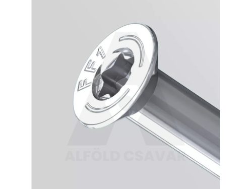 10x80mm nagytelj. nejlon tokrögzítő Torx T40/6db